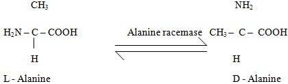 alanine racemase